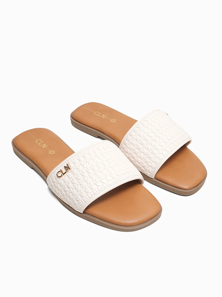 Brienne Slides - Image 2