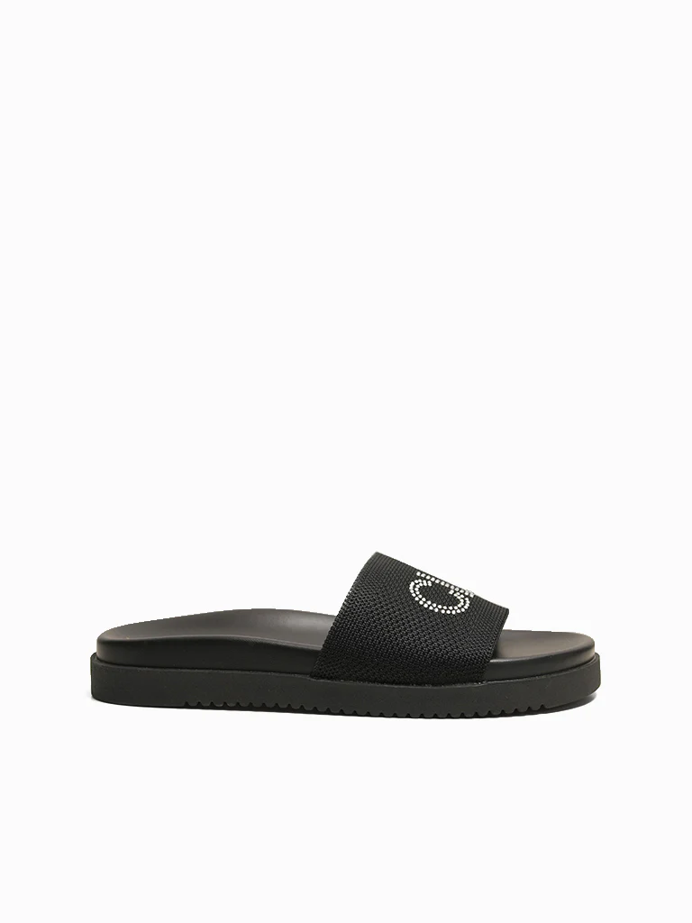 Ellen Slides - Image 4