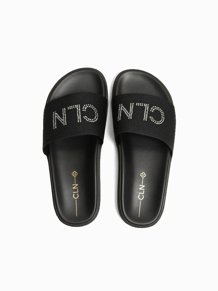Ellen Slides - Image 5