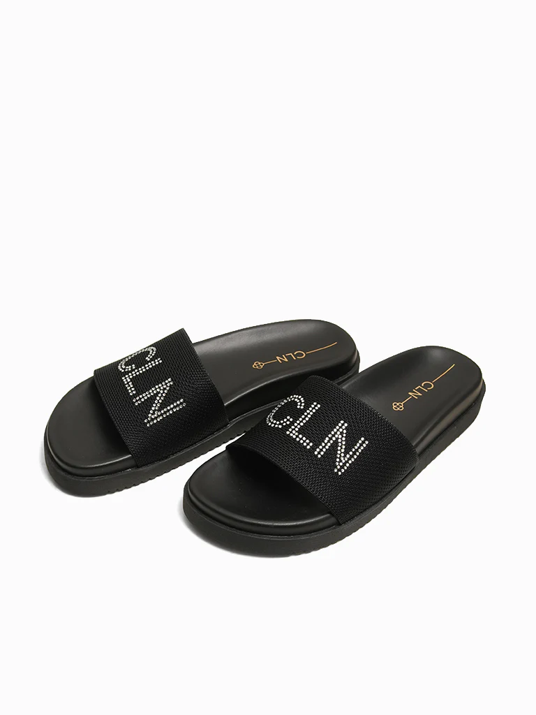 Ellen Slides - Image 6