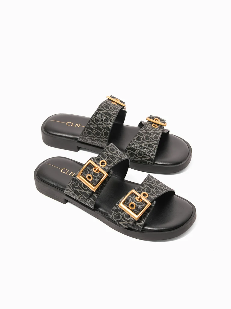 Laksha Slides - Image 4