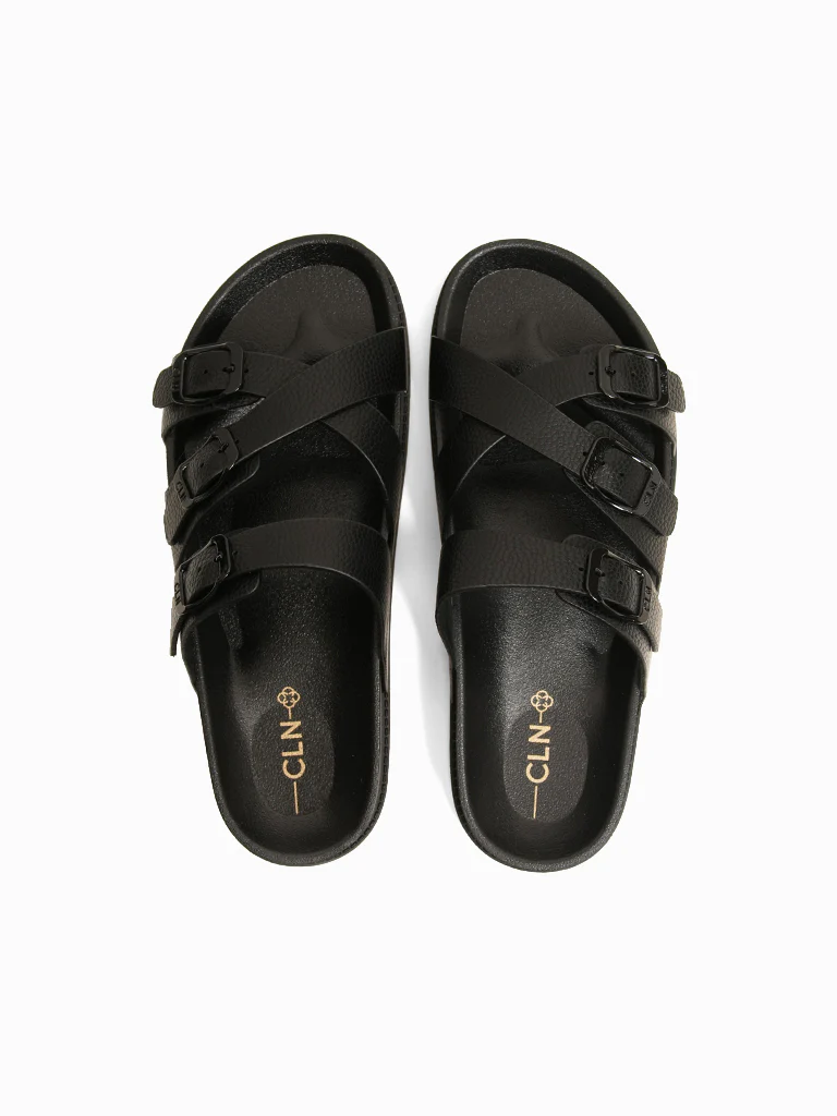 Psalm Slides - Image 5
